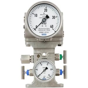 Differential pressure gauge