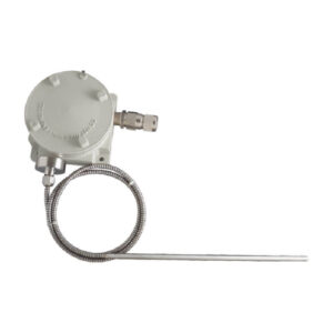 Temperature Switch Model ZTD